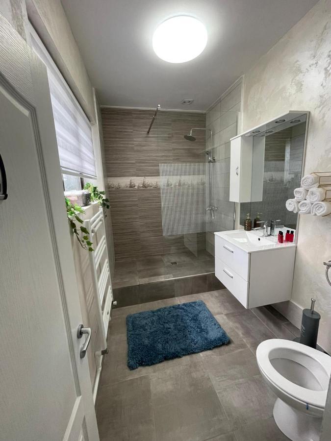 Casa Di David Villa Buzău Exteriör bild